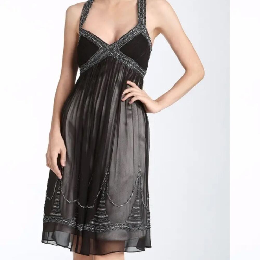 Adrianna Papell Silk Chiffon Beaded Evening Dress